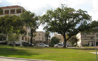 Austin, Campus